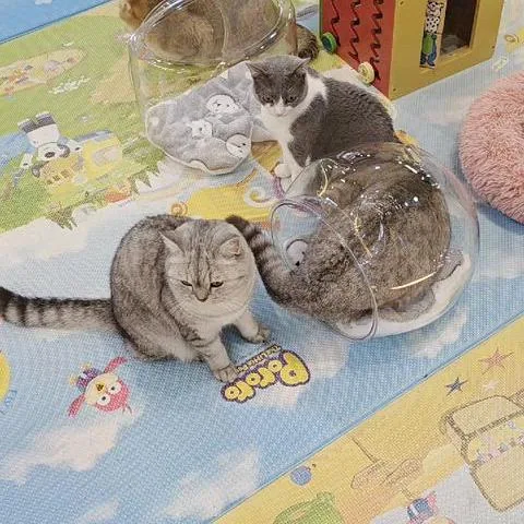 아크릴통 - 8번째 이미지