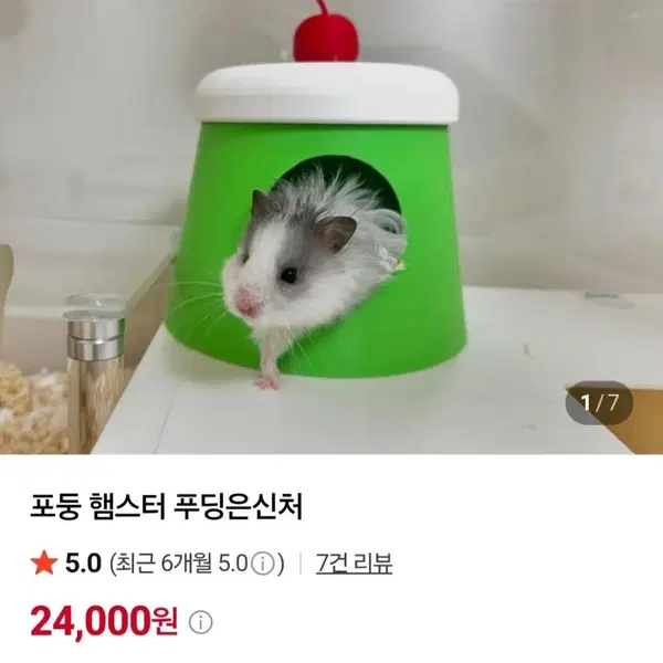 포둥 햄스터 푸딩 은신처