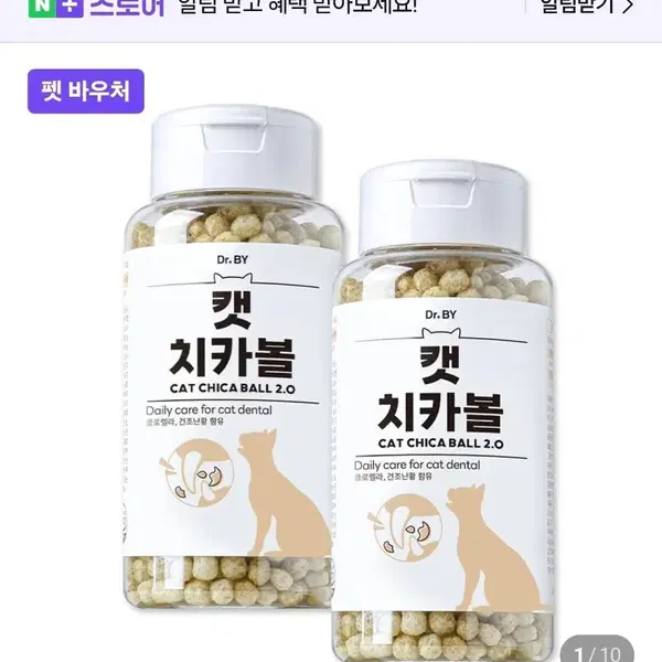 닥터바이 캣치카볼