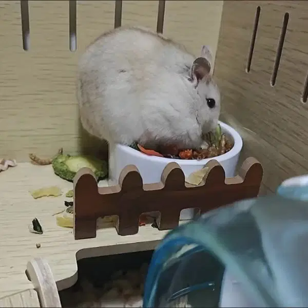 소통하기좋은 원가4만 햄스터 하우스, 집이라고 다 같지않아요 - 2번째 이미지
